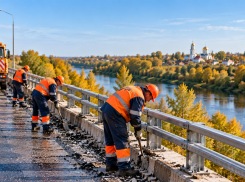 На содержание 132 мостов в Тамбовской области выделено почти 48 млн рублей