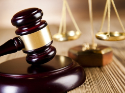 С администрации Тамбовского округа потребовали 100 тысяч рублей за укус ребёнка бездомной собакой