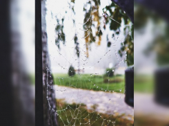 В ближайшие три дня в регионе ожидаются обильные осадки и ветер до 22 м/с