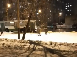 В Тамбове дети «обстреляли» автобус снежками