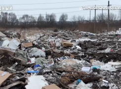 Под Тамбовом вновь заработала нелегальная свалка 