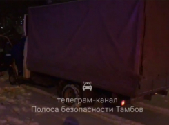 В Тамбове 65-летний водитель погиб при столкновении с деревом 