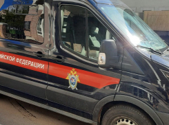 В Тамбове 17-летний парень обвиняется в убийстве 80-летней пенсионерки