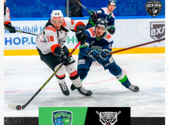 ХК «Тамбов» всухую обыграл «Югру» в первом матче плей-офф