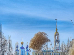 В Тамбове к Дню защитника Отечества похолодает до -20 градусов