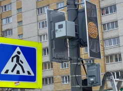 В Тамбове на пешеходных переходах улицы Рылеева установят четыре светофора