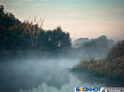 Осенняя хандра? Нет, не слышал! 5 стопроцентных вариантов счастливо пережить осень