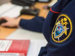 Ситуацией с кондуктором автобуса и ребёнком заинтересовался Следственный комитет