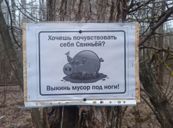 Рядом с плотиной в Тамбове расцвела «антимусорная поляна»