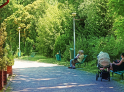 В Тамбове на Полынковской появится новый сквер