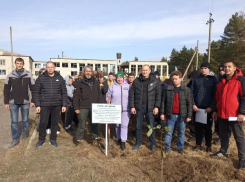 Тамбовчане заложили парк Дружбы в Новоайдарском районе ЛНР