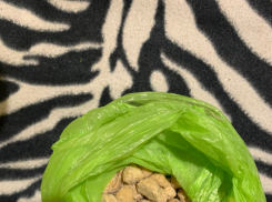 Тамбовчанина задержали с 400 граммами героина