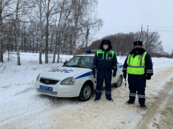 В Тамбовской области два междугородних автобуса «замёрзли» на трассе