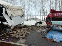 В Сампурском районе столкнулись два грузовика: водители погибли