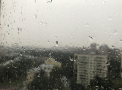 Начало сентября выдастся дождливым и пасмурным