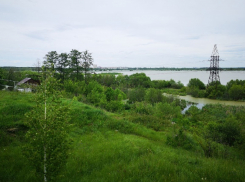 В пруду в Бокино всплыло тело 36-летнего тамбовчанина