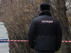 «Заминированные» тамбовские школы проверяют сотрудники полиции