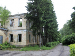 В Никифоровском районе хотят восстановить 130-летний парк