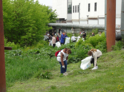 В Тамбове провели субботник на Студенце в рамках акции «Вода России»