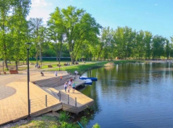 В Мичуринске будут судить подрядчика строительства ландшафтного парка за мошенничество