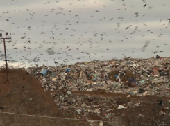 Сотрудница Росприроднадзора получила судимость за подделку акта проверки мусорного полигона «КомЭк»