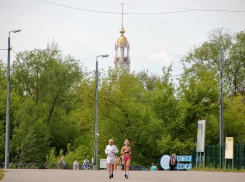 В Тамбове планируют реконструировать лыжный стадион в парке «Дружба»