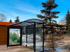 Репродукции весенних пейзажей порадуют тамбовчан на автобусных остановках