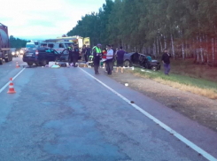 На трассе в Мичуринском округе в столкновении «Гранты» и «Приоры» погибли четверо