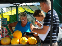 Превышение нитратов в дынях на стихийных рынках Тамбова снова выявил Роспотребнадзор