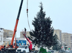 Моршанская ель вновь украсила главную площадь Тамбова к Новому году