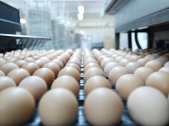 Тамбовских производителей упрекнули за некачественные яйца