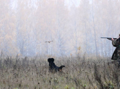 У Моршанской табачной фабрики выкупили права на пользование охотугодьями почти за миллиард рублей