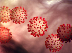 За сутки в Тамбовской области выявлено ещё 115 случаев заражения COVID-19