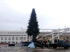 Главную ёлку города собрали на площади Ленина 