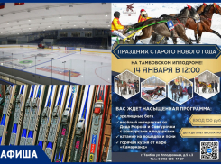 Спортивные январские выходные в афише «Блокнот Тамбов»