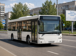 Тамбов получит 15 новых автобусов