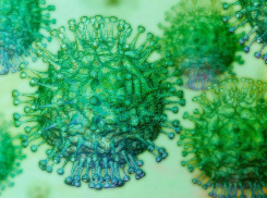 В Тамбовской области за сутки ещё 112 человек заболели коронавирусом