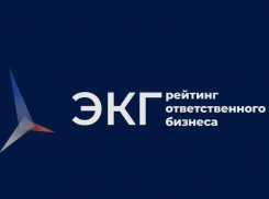 ЭКГ-рейтинг подрядчиков стал частью системы госзакупок Тамбовской области  