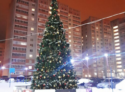 Около 100 новогодних ёлок установят во дворах Тамбова