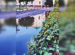 Погода на выходные: в Тамбове сохранится осенняя прохлада