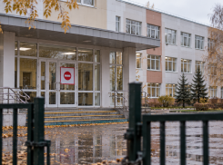 В Тамбове две школы закрыли на карантин из-за вспышки ОРВИ