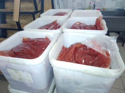 В Тамбове силовики накрыли крупное производство поддельной красной икры