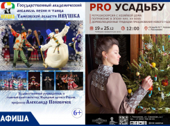 Отчётные концерты, экскурсия в прошлое и выставки: предновогодние тамбовские мероприятия