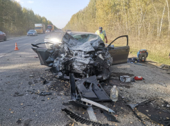В Мичуринском округе погибли два человека, в том числе 9-летняя девочка