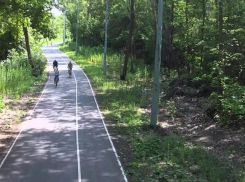 На лыжном стадионе парка «Дружба» в Тамбове заасфальтируют пятикилометровую трассу
