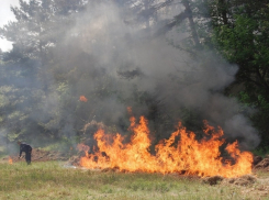 20 дней без леса придется провести тамбовчанам 