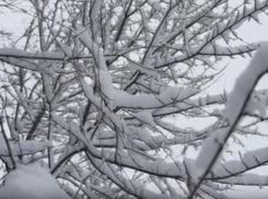Сюрпризов не будет: в Тамбове все также облачно и снег 