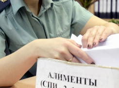 Более 500 тысяч задолжала по алиментам на ребенка «мать-кукушка» из Уметского района 