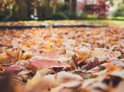 Тамбовскую область ждут выходные без осадков и потепление до +16