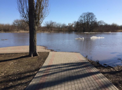 В ближайшие дни уровень реки Цны поднимется до 3 метров